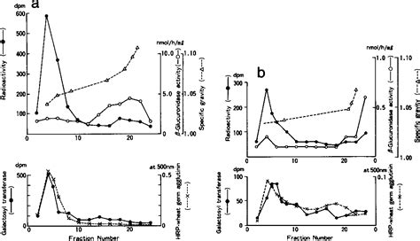 Figure 2 from Metabolism of cerebroside sulfate and subcellular ...