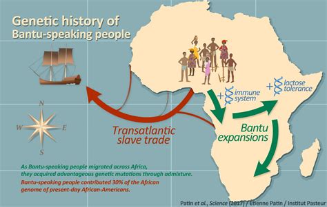 The Genetic History of Bantu S [IMAGE] | EurekAlert! Science News Releases