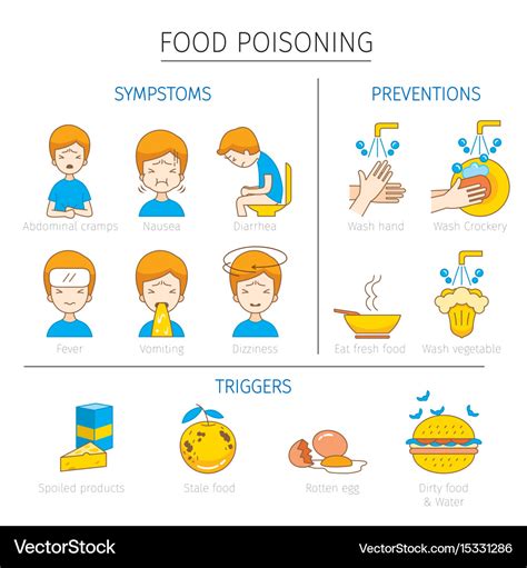 Food poisoning symptoms triggers and preventions Vector Image