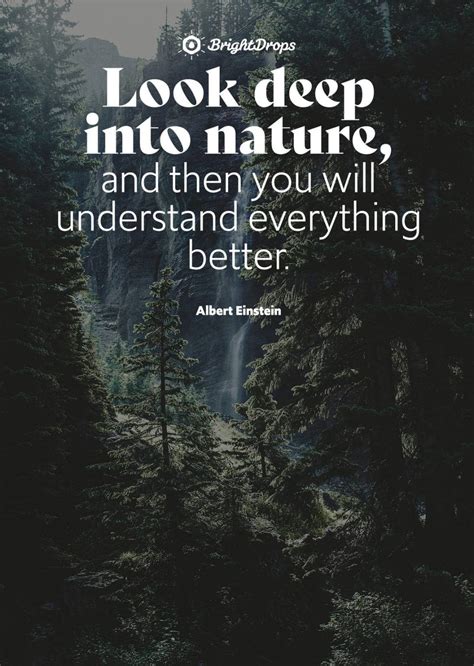 105 Inspirational Nature Quotes on Life & Its Natural Beauty