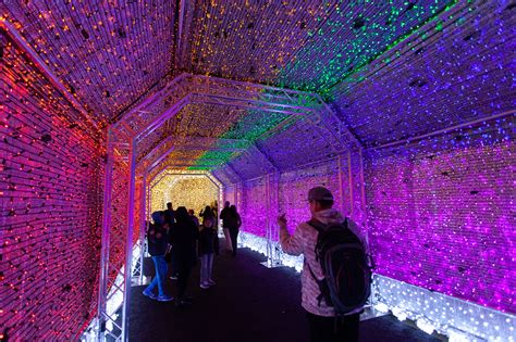 LA Zoo Lights | Things to do in Los Angeles