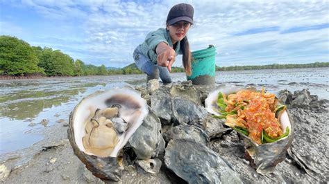 Amazing Find Oysters and Delicious Eating Fresh Oysters - YouTube