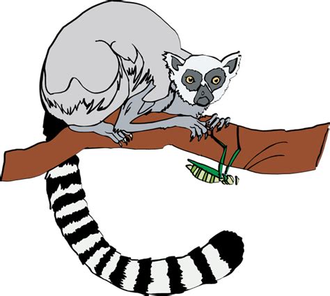 Lemur Clipart - Free Clipart Images - ClipArt Best - ClipArt Best