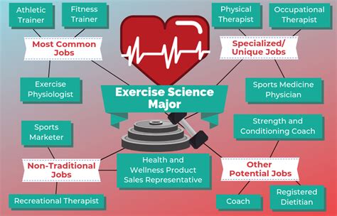 12 Careers in Exercise Science | The University Network