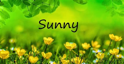 Sunny Name Wallpapers Sunny ~ Name Wallpaper Urdu Name Meaning Name ...