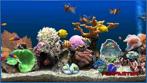 Screensaver marine aquarium deluxe 3.2 - Download free