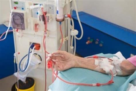 Plasmapheresis In Guillain Barre Syndrome - Pregnant Health Tips