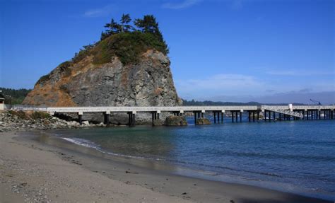 Trinidad Head Beach in Trinidad, CA - California Beaches