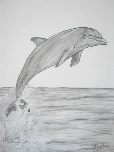 Adornos dibujos de delfines bonitos a 3 técnicas creativas | Esbozos ...