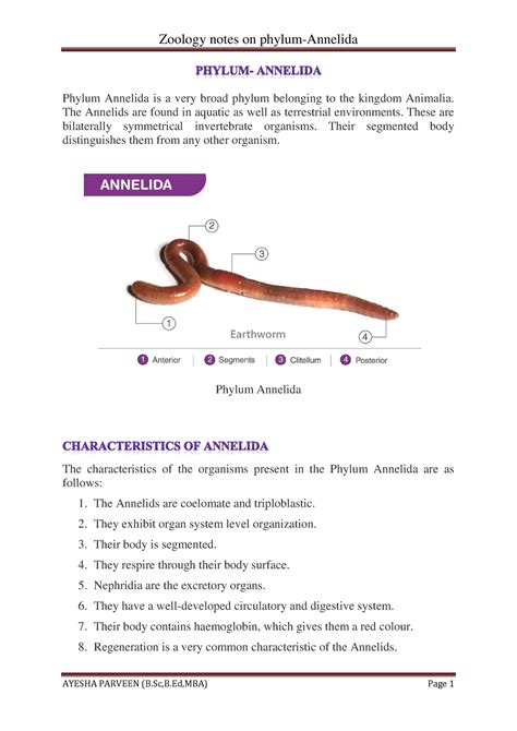 Phylum-annelida - GENERAL CHARACTERS, CLASSIFICATION AND METAMERISM OF ...