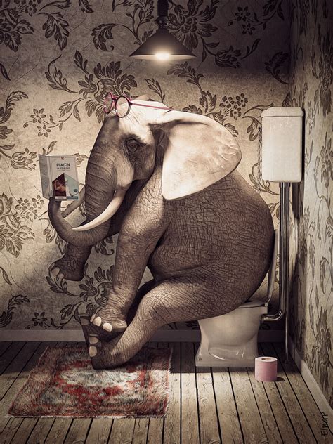 Künstlerische Illustration | Elephant on toilet reading a book, funny ...