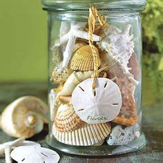 Eisenhower Dollar Set: Sand Dollar Display Ideas