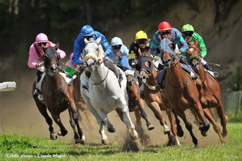 horse, Racing, Race, Equestrian, Sport, Jockey, Horses Wallpapers HD ...