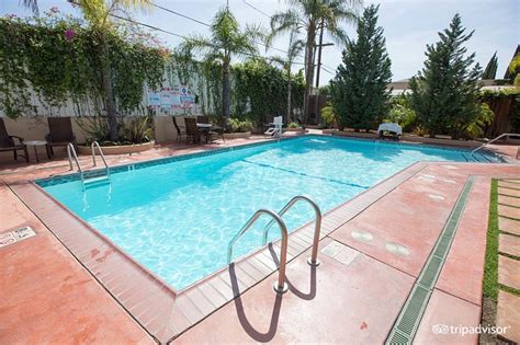 Hollywood Hotel Pool: Pictures & Reviews - Tripadvisor