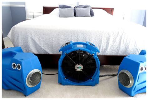 Heat Treatment Solutions For Exterminating Bed Bugs | Bug Pros