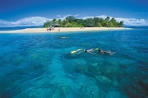 The Great Barrier Reef - Cairns Attractions - Mid City Cairns