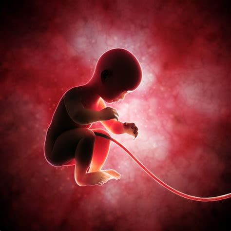 Umbilical Cord Blood Transplant | Financial Tribune