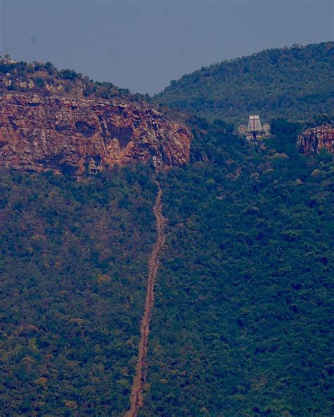 Tirumala hill (Andhra, India) is famous... - It's My Tirupati | Facebook