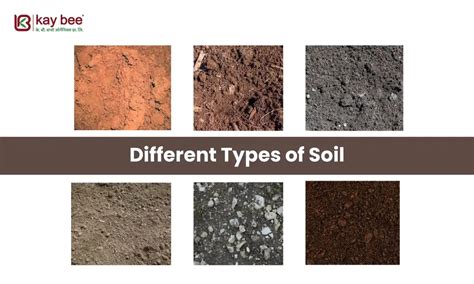 Discovering the Different Types of Soil