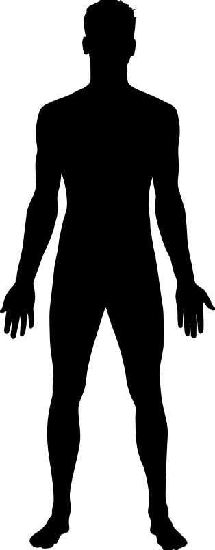 Human Outline Png Human Body Outline Png Transparent Cartoon Jingfm ...