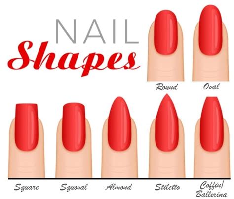 Types of nail shapes - shopgilit