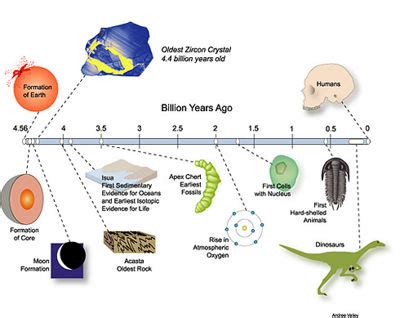 Theory of evolution - CreationWiki, the encyclopedia of creation science