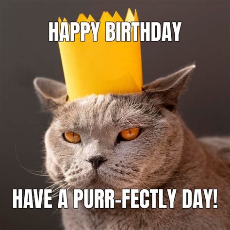 Personalize online this Simple Birthday Cat Square Meme template