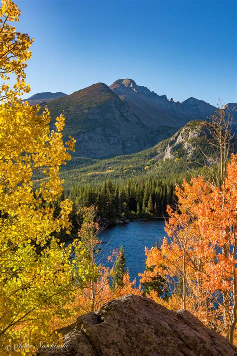 Rocky Mountain National Park Fall Colors