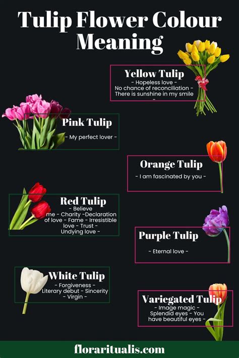 Tulip flower color meaning in 2023 | Flower meanings, Color meanings ...