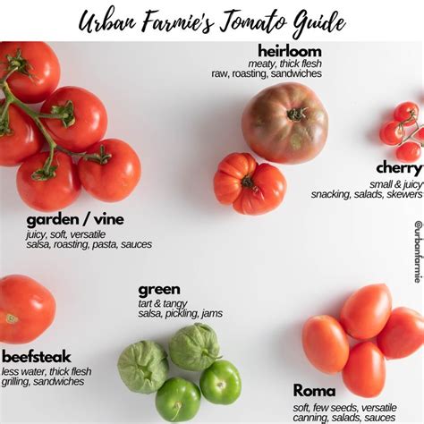 Guide to Different Types of Tomatoes | Types of tomatoes, Tomato, Beef ...