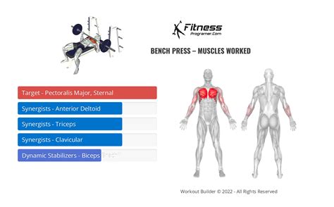 How To A Barbell Bench Press | Muscles Worked And Benefits