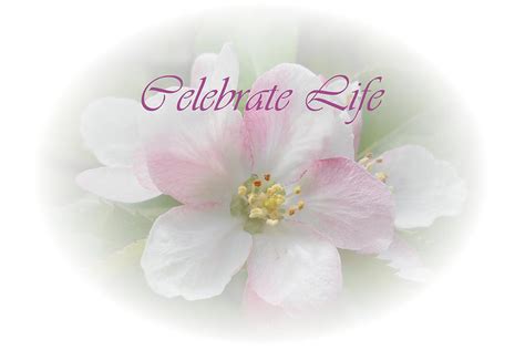 celebrate life clipart people 20 free Cliparts | Download images on ...