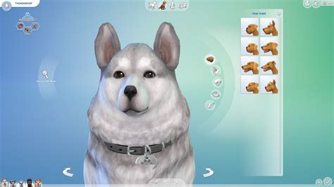 Sims 4 Pet Traits