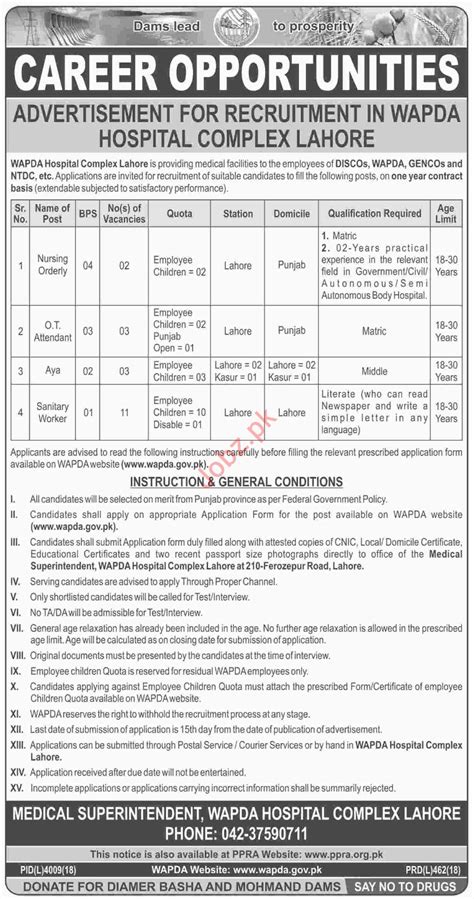 WAPDA Hospital Complex Lahore Jobs 2019 2024 Job Advertisement Pakistan