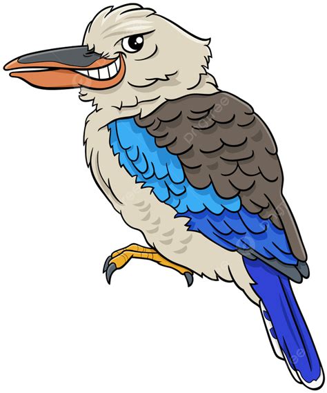 Kookaburra PNG Transparent Images Free Download | Vector Files | Pngtree