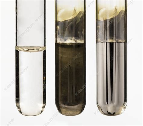 Silver mirror test with Tollens' reagent - Stock Image C029/1075 ...