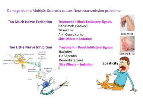 Multiple Sclerosis Research: A potential new treatment for spasticity