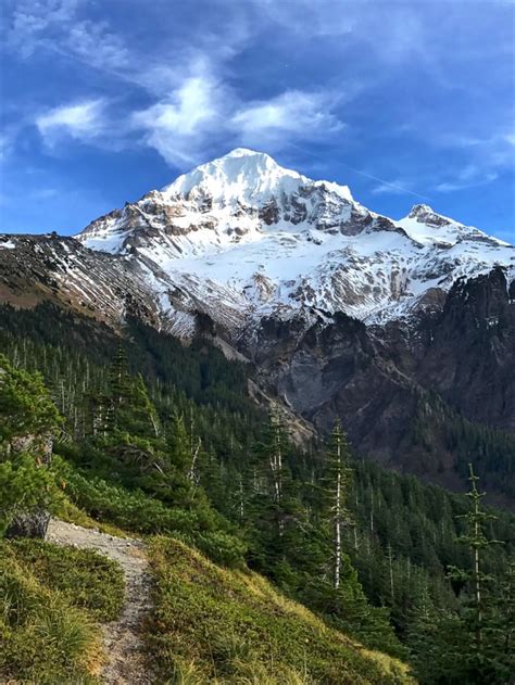 Timberline Trail Mt. Hood National Forest 11/4/16 [OC] [3024x4032] : r ...