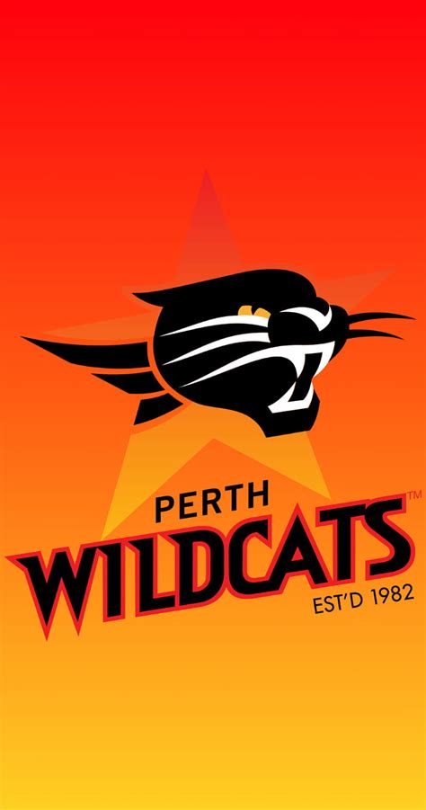 Perth Wildcats, nbl, perth, HD phone wallpaper | Peakpx