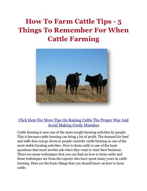 How To Farm Cattle Tips - 5 Things To Remember For When Cattle Farming