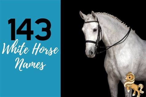 143 Names for White Horses - Including Barn Names & Show Names ...