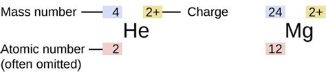 What Does the Atomic Number Represent Apex - KaelkruwHarmon