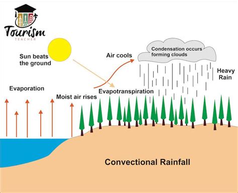 What is convectional rainfall? A SIMPLE explanation - The geography teacher