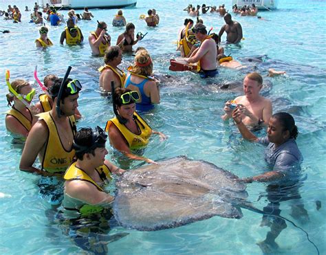 Caymans' Stingray City has the sandbar hopping