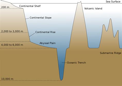 Oceanic basin - Wikipedia