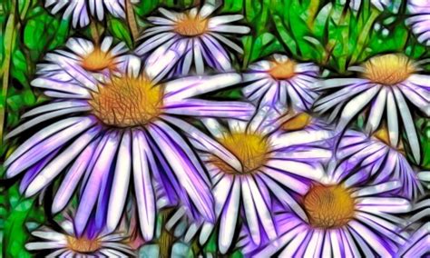 Flower Art – Wednesday’s Daily Jigsaw Puzzle