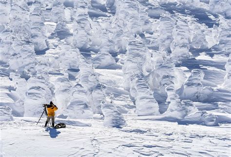 Juhyo: The Snow Monsters on Japan’s Mount Zao - The Atlantic