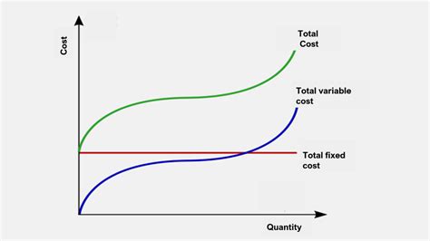 Total Variable Cost: Examples, Curve, Importance