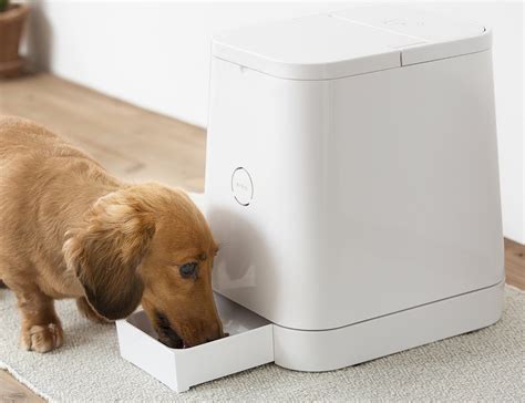 PETLY - Automatic Pet Feeder » Gadget Flow