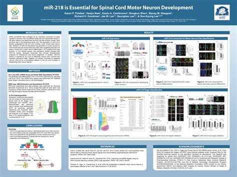 Illustrator Scientific Poster Template – NBKomputer